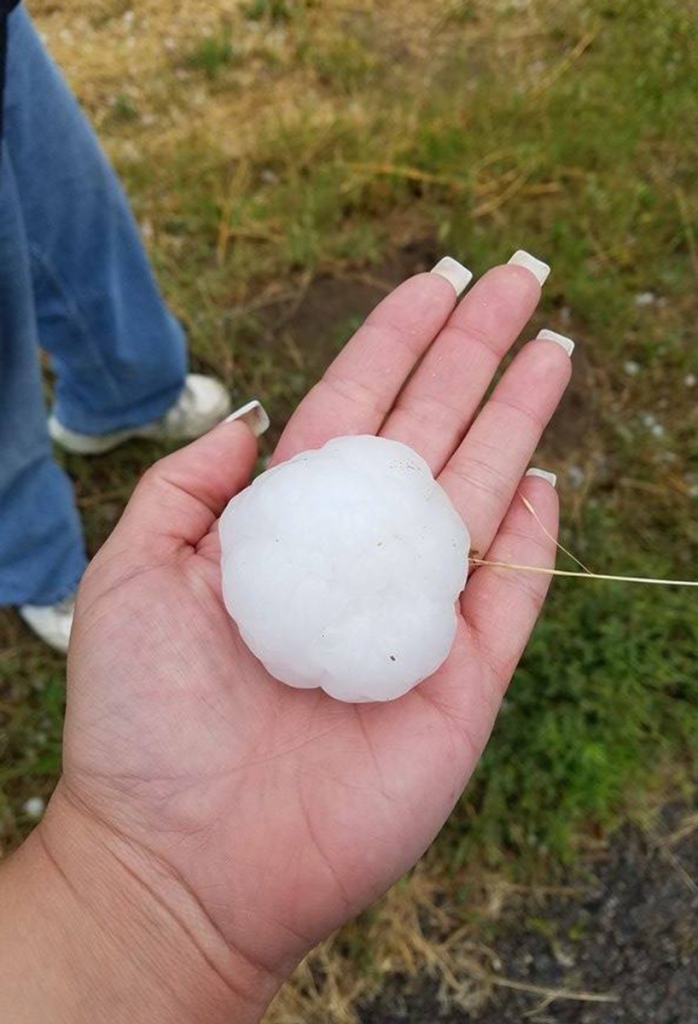 Hail the size of baseballs blasted out windshields and shredded trees in Trinidad on Monday. Photo courtesy Maria Genoveva Foster.